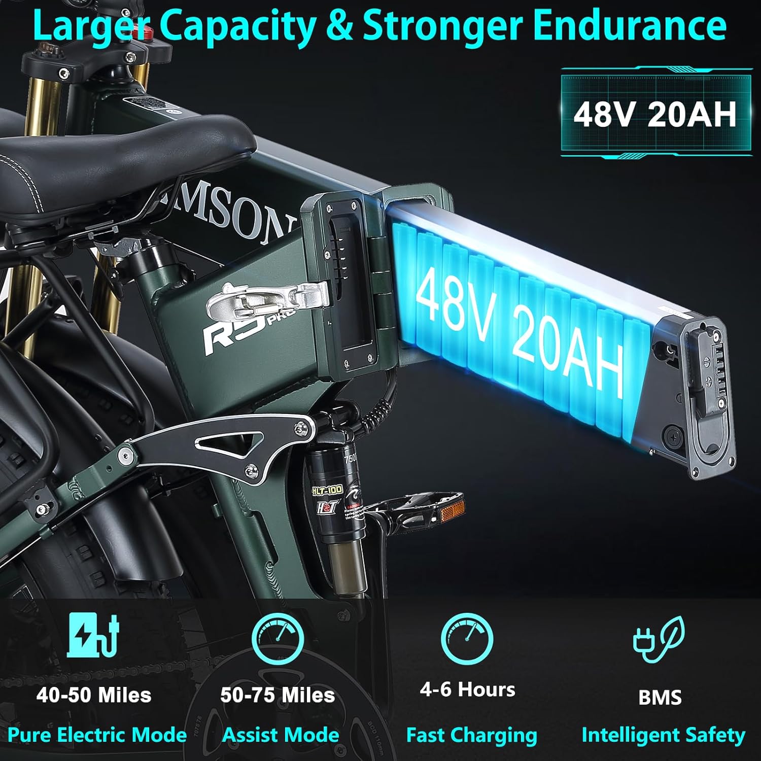 DAMSON Dual Motor 2000W Electric Bike for Adults view 5